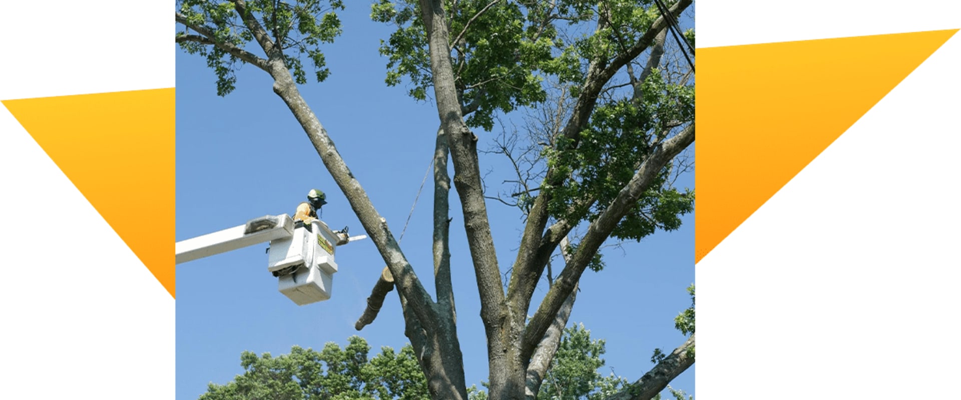 The Importance of 24/7 Emergency Services for Landscaping Companies in Camden County, New Jersey