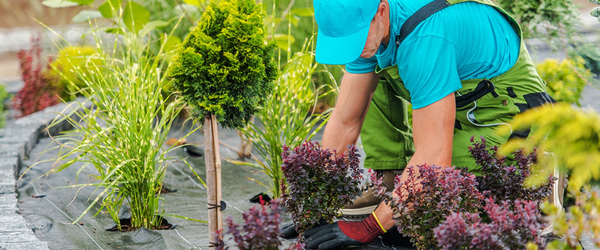 The Ultimate Guide to Landscaping Companies in Camden County, New Jersey