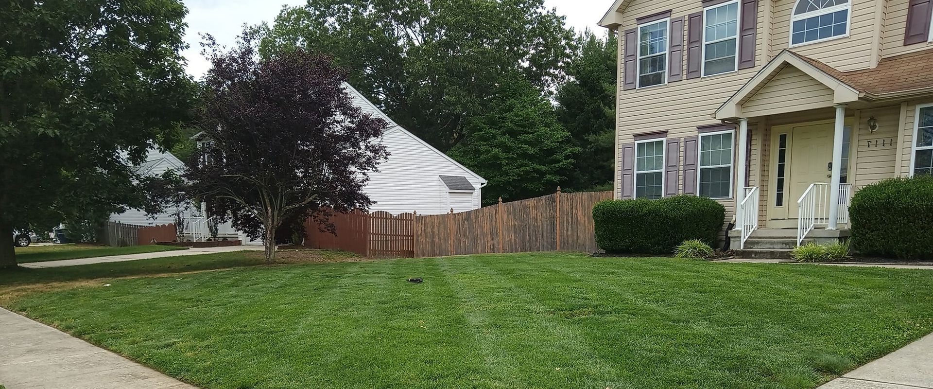 The Comprehensive Services Offered by Landscaping Companies in Camden County, New Jersey