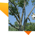 The Importance of 24/7 Emergency Services for Landscaping Companies in Camden County, New Jersey