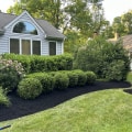 Transforming Your Outdoor Space: The Best Landscaping Companies in Camden County, New Jersey