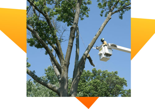 The Importance of 24/7 Emergency Services for Landscaping Companies in Camden County, New Jersey
