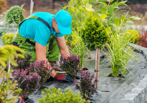 The Ultimate Guide to Landscaping Companies in Camden County, New Jersey