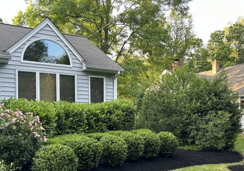 Transforming Your Outdoor Space: The Best Landscaping Companies in Camden County, New Jersey