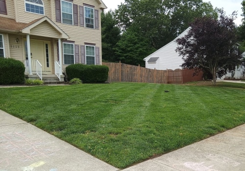 The Comprehensive Services Offered by Landscaping Companies in Camden County, New Jersey